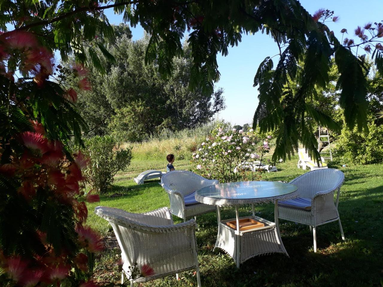 Aux Roses De L'Etang Hotel Capestang Ngoại thất bức ảnh