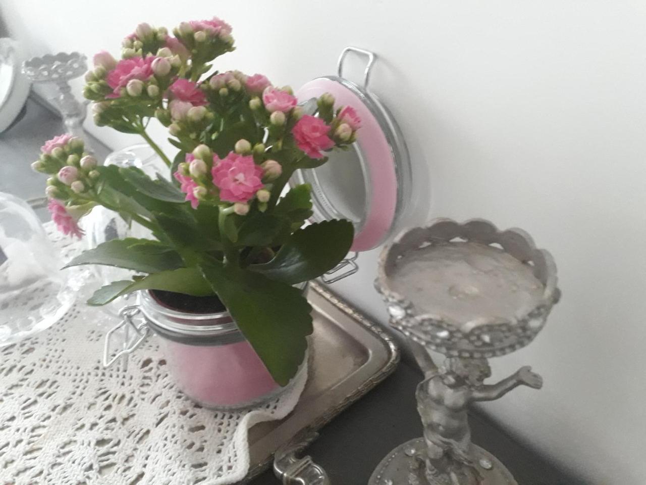 Aux Roses De L'Etang Hotel Capestang Ngoại thất bức ảnh