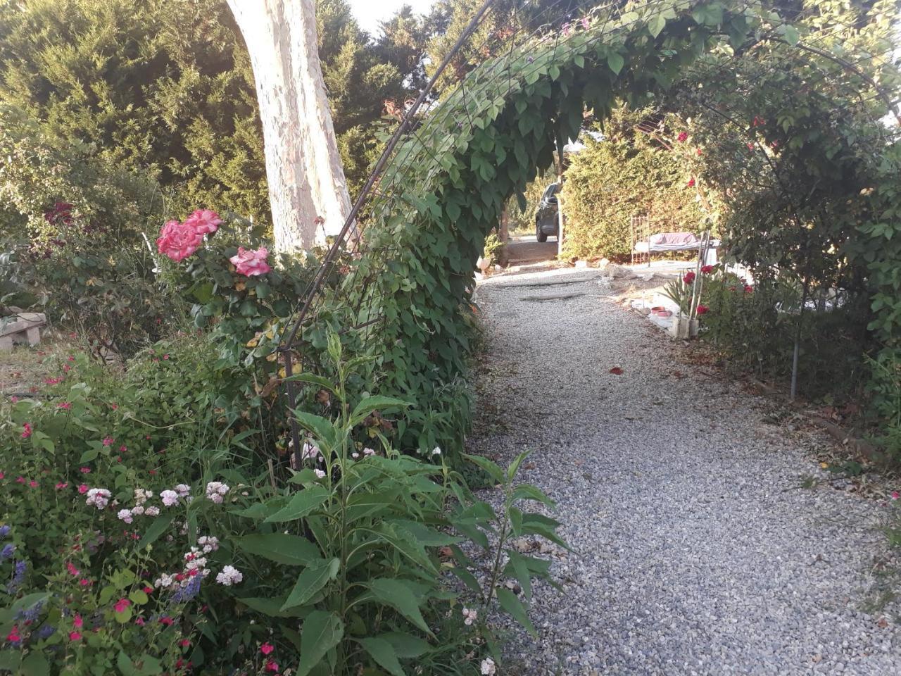 Aux Roses De L'Etang Hotel Capestang Ngoại thất bức ảnh